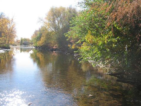 the Cache La Poudre river